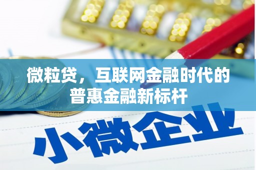 梅河口微粒贷，互联网金融时代的普惠金融新标杆