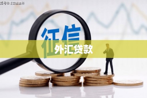 梅河口外汇贷款