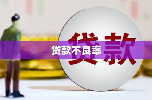 梅河口贷款不良率