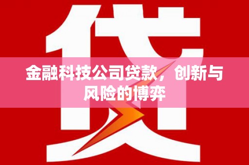 梅河口金融科技公司贷款，创新与风险的博弈
