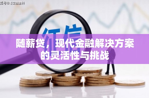 梅河口随薪贷，现代金融解决方案的灵活性与挑战