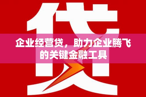 梅河口企业经营贷，助力企业腾飞的关键金融工具