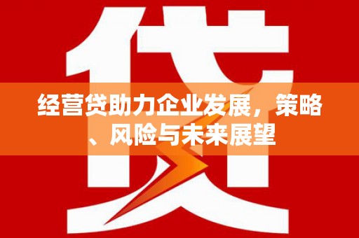 梅河口经营贷助力企业发展，策略、风险与未来展望