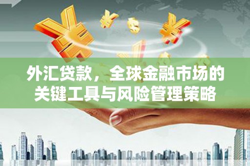 梅河口外汇贷款，全球金融市场的关键工具与风险管理策略