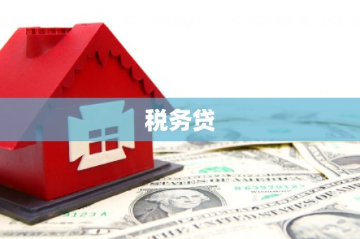 梅河口税务贷