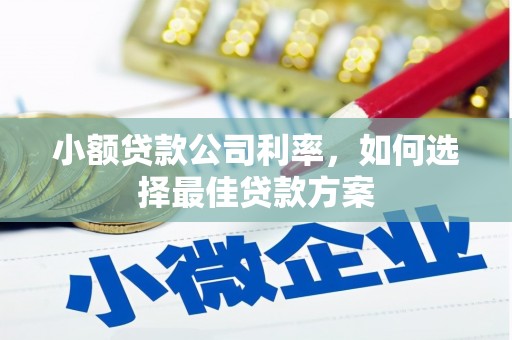 梅河口小额贷款公司利率，如何选择最佳贷款方案