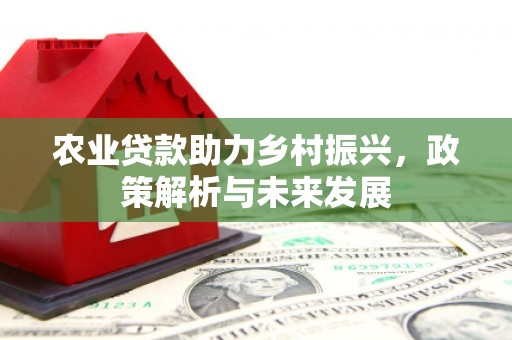 梅河口农业贷款助力乡村振兴，政策解析与未来发展