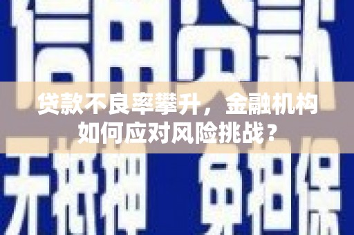 梅河口贷款不良率攀升，金融机构如何应对风险挑战？