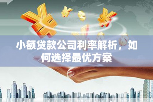 梅河口小额贷款公司利率解析，如何选择最优方案