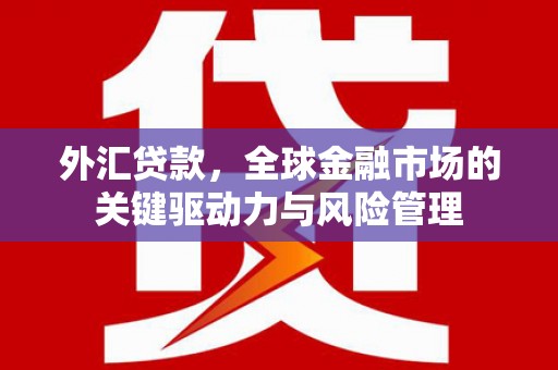 梅河口外汇贷款，全球金融市场的关键驱动力与风险管理