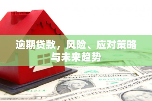 梅河口逾期贷款，风险、应对策略与未来趋势