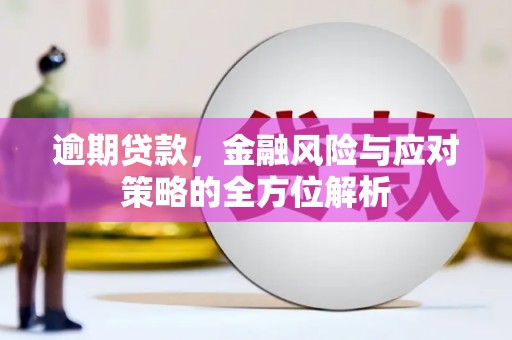 梅河口逾期贷款，金融风险与应对策略的全方位解析