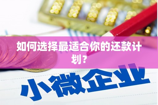 梅河口如何选择最适合你的还款计划？