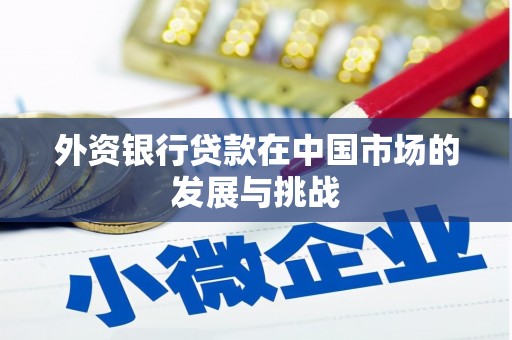 梅河口外资银行贷款在中国市场的发展与挑战