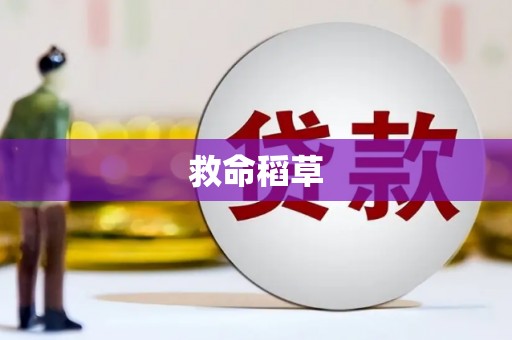 梅河口救命稻草