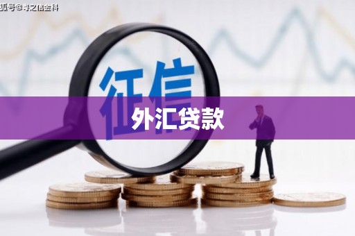 梅河口外汇贷款