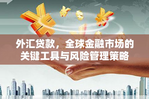 梅河口外汇贷款，全球金融市场的关键工具与风险管理策略