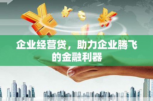 梅河口企业经营贷，助力企业腾飞的金融利器