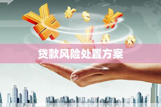 梅河口贷款风险处置方案