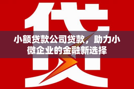 梅河口小额贷款公司贷款，助力小微企业的金融新选择