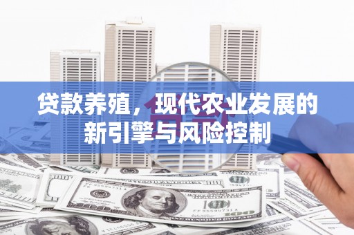 梅河口贷款养殖，现代农业发展的新引擎与风险控制