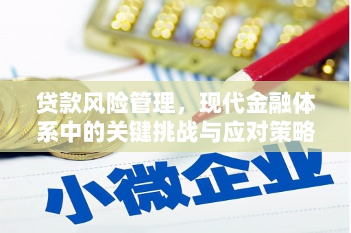 梅河口贷款风险管理，现代金融体系中的关键挑战与应对策略