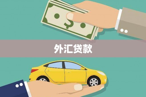 梅河口外汇贷款