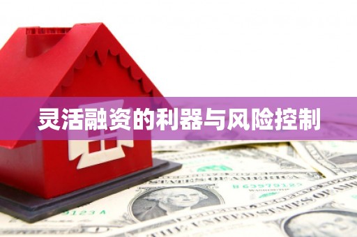 梅河口灵活融资的利器与风险控制