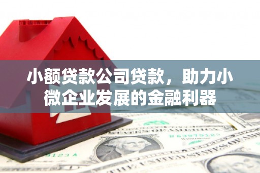 梅河口小额贷款公司贷款，助力小微企业发展的金融利器