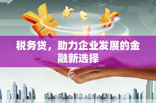 梅河口税务贷，助力企业发展的金融新选择
