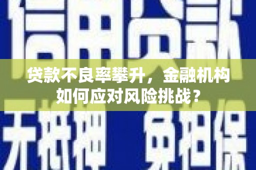 梅河口贷款不良率攀升，金融机构如何应对风险挑战？