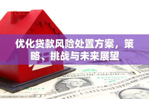 梅河口优化贷款风险处置方案，策略、挑战与未来展望