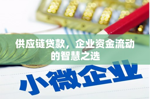 梅河口供应链贷款，企业资金流动的智慧之选
