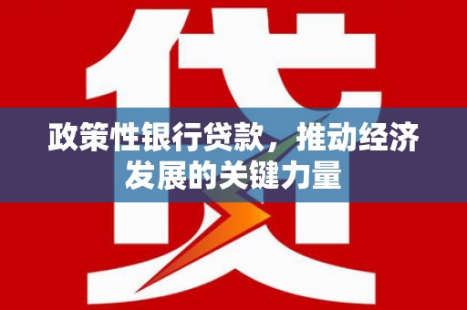 梅河口政策性银行贷款，推动经济发展的关键力量