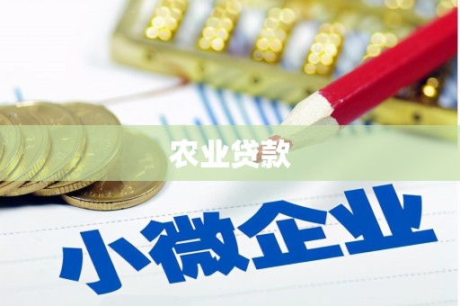 梅河口农业贷款