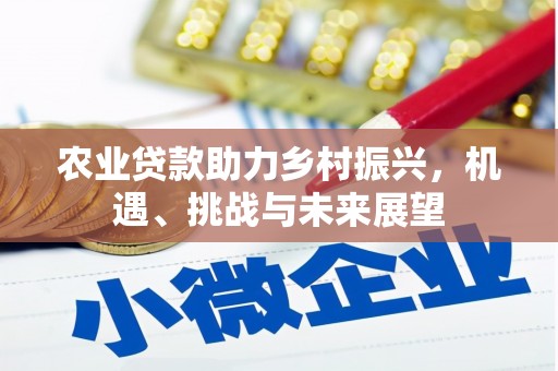 梅河口农业贷款助力乡村振兴，机遇、挑战与未来展望