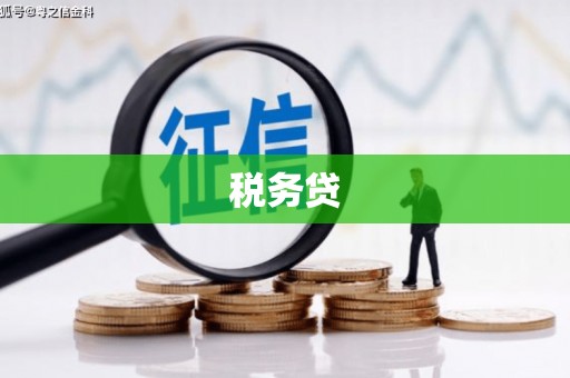 梅河口税务贷