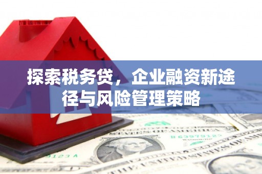 梅河口探索税务贷，企业融资新途径与风险管理策略