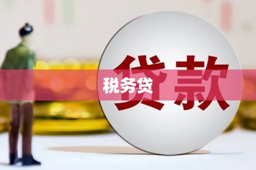 梅河口税务贷