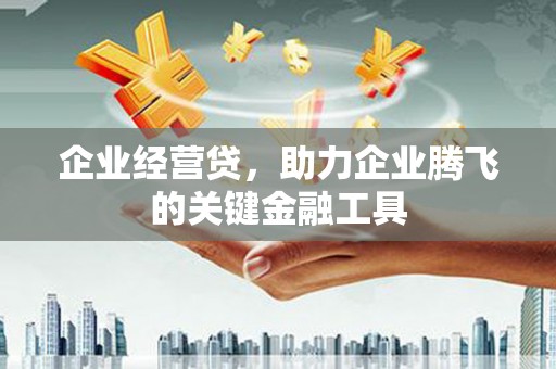 梅河口企业经营贷，助力企业腾飞的关键金融工具