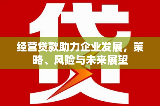 梅河口经营贷款助力企业发展，策略、风险与未来展望