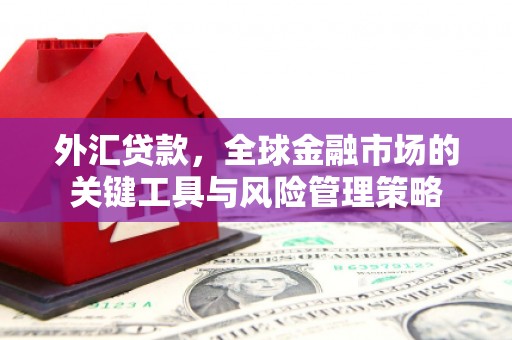 梅河口外汇贷款，全球金融市场的关键工具与风险管理策略