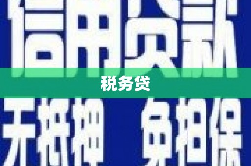 梅河口税务贷