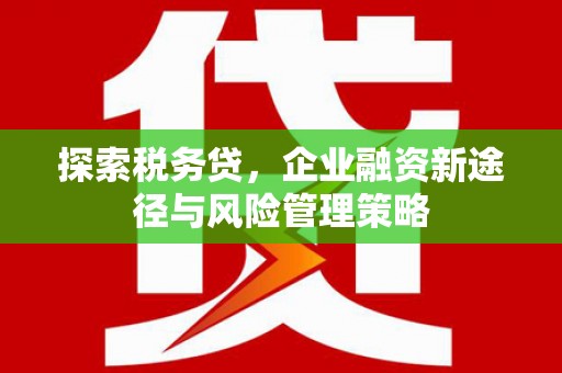 梅河口探索税务贷，企业融资新途径与风险管理策略