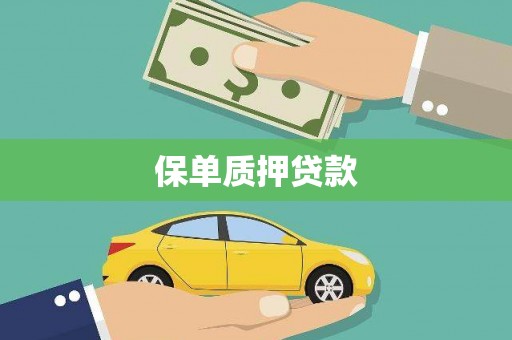 梅河口保单质押贷款