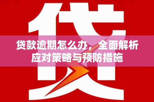 梅河口贷款逾期怎么办，全面解析应对策略与预防措施