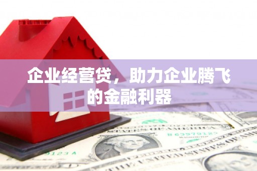 梅河口企业经营贷，助力企业腾飞的金融利器