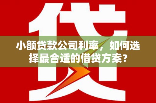 梅河口小额贷款公司利率，如何选择最合适的借贷方案？