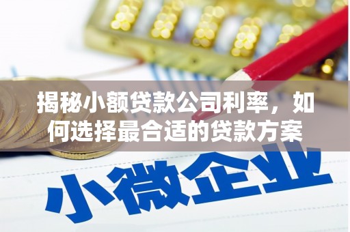 梅河口揭秘小额贷款公司利率，如何选择最合适的贷款方案