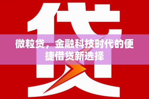 梅河口微粒贷，金融科技时代的便捷借贷新选择